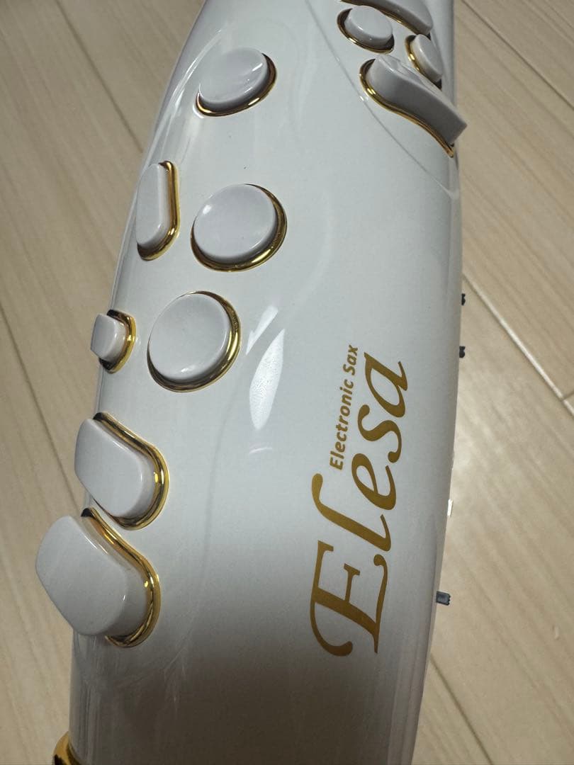 【超美品】電子サックス タホーン エレサ10