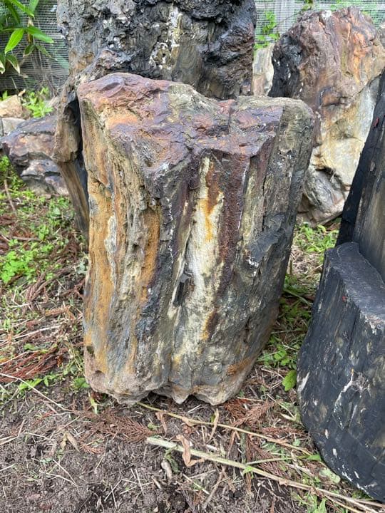 木化石（珪化木）秋田産 庭石、ガーデニング置物