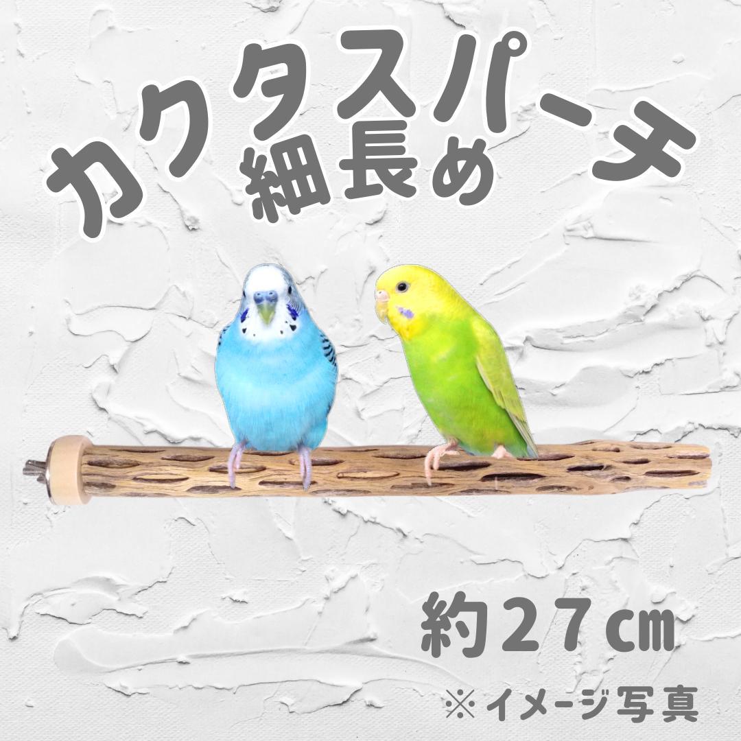 鳥用品 止まり木 カクタス スケルトン パーチ 太めNo.239 鳥用品