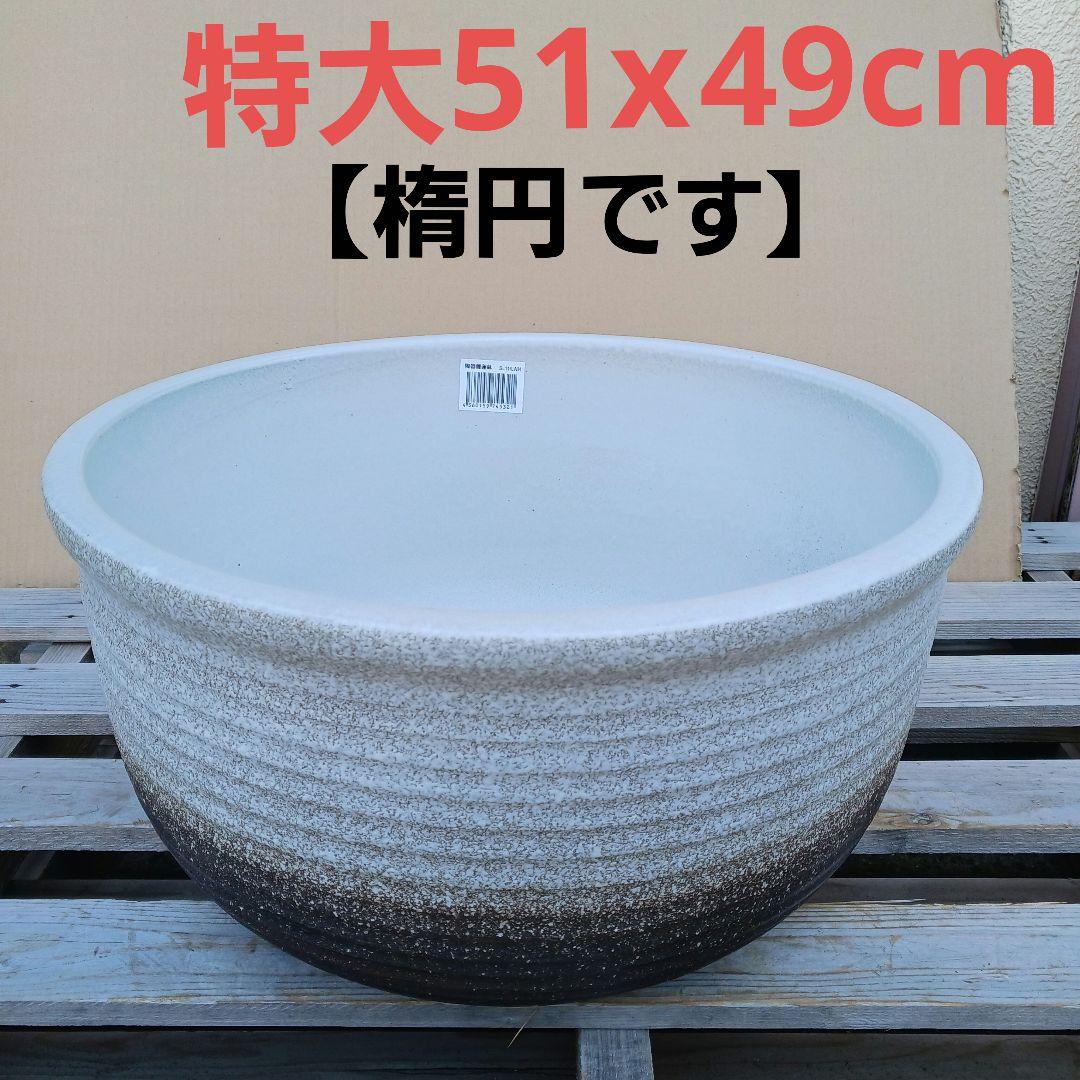 新品 ∅50 陶器 睡蓮鉢 特大 楕円 メダカ鉢 白 ホワイト ルーバー LWH