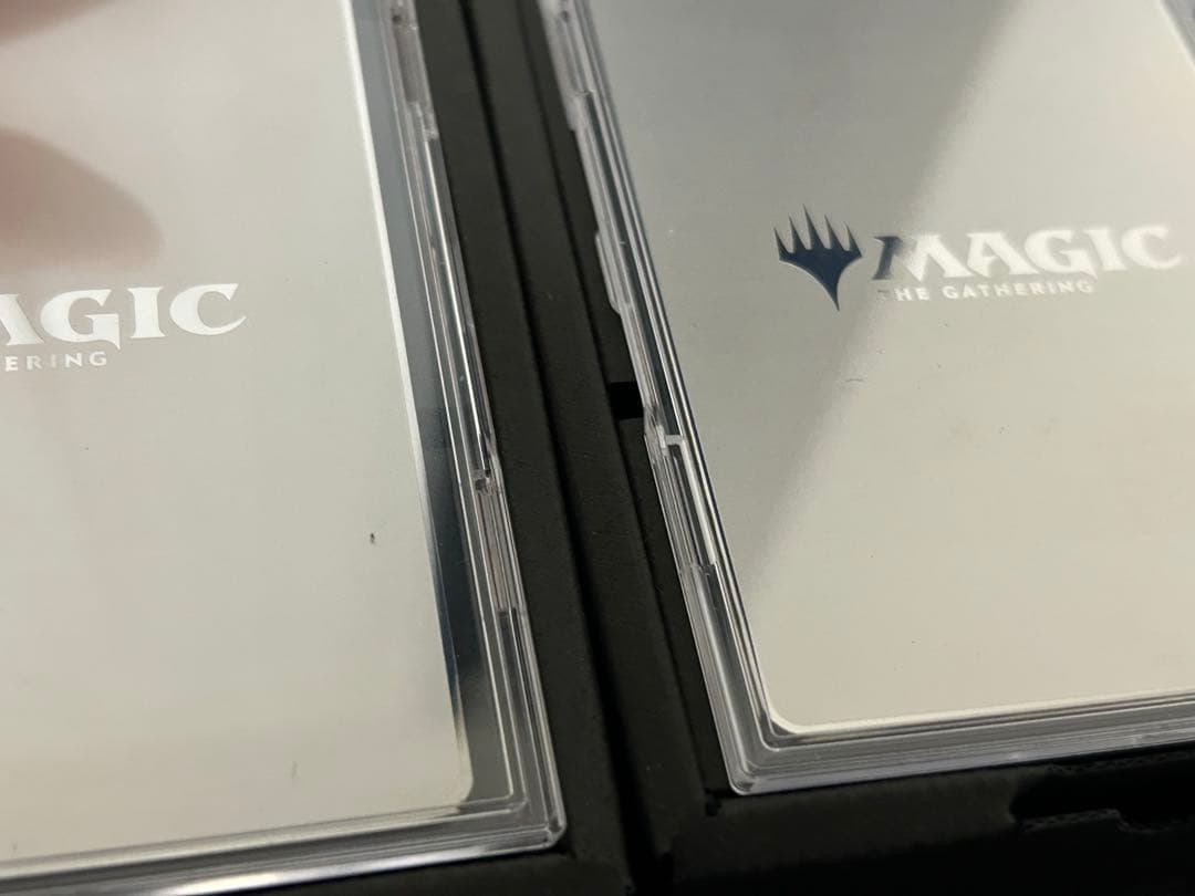 MTG ステンレス アート2枚 血に飢えた征服 倍増の季節 - メルカリ