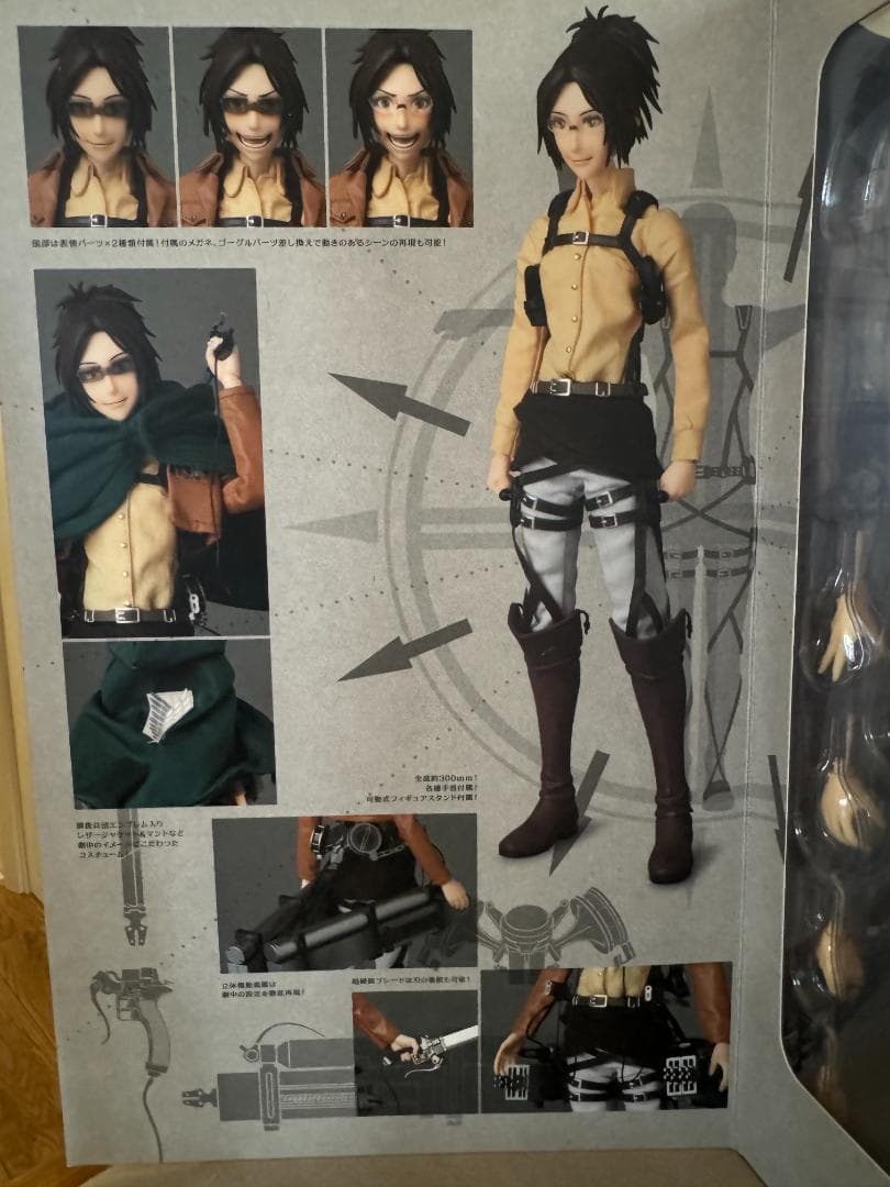 リアルアクションヒーローズ No.706　RAH ハンジ・ゾエ