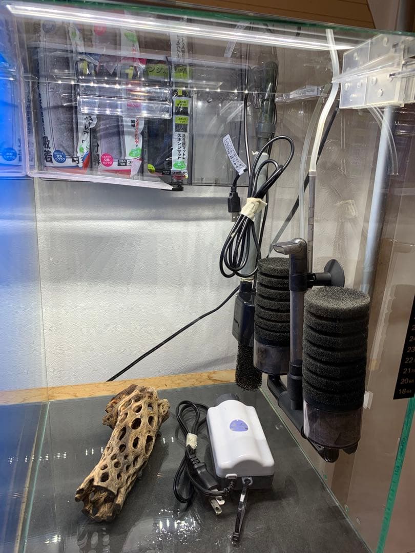 引き取り限定】ガラス水槽フルセット アクアリウム 最強シュリンプ水槽