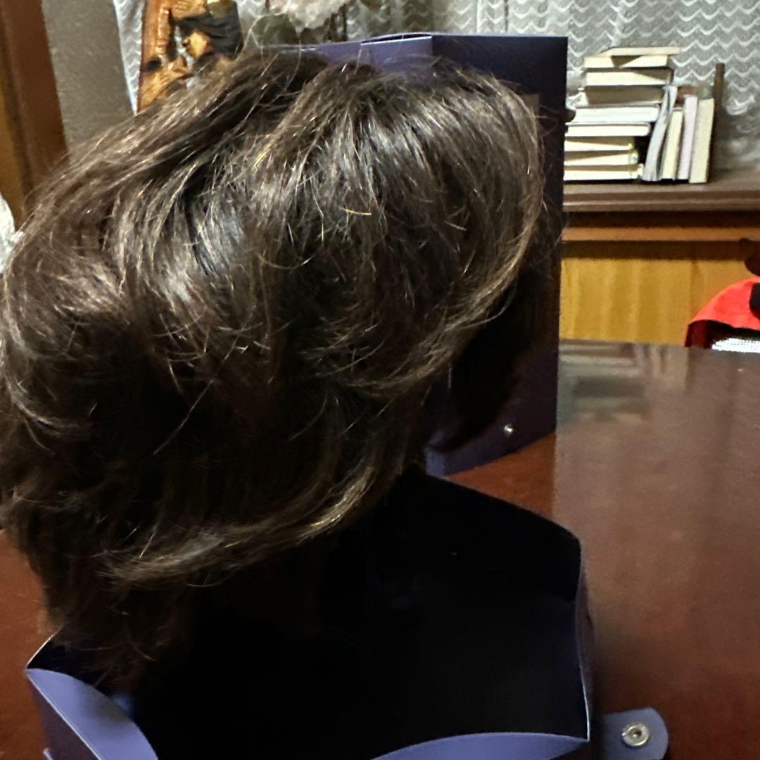 フォンテーヌ VALAN  フルウィッグ のショート ヘアー　女装　コスプレ