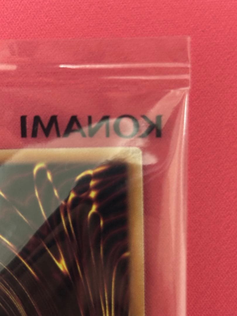 2025年　日本選手権　優勝プロモ　未開封