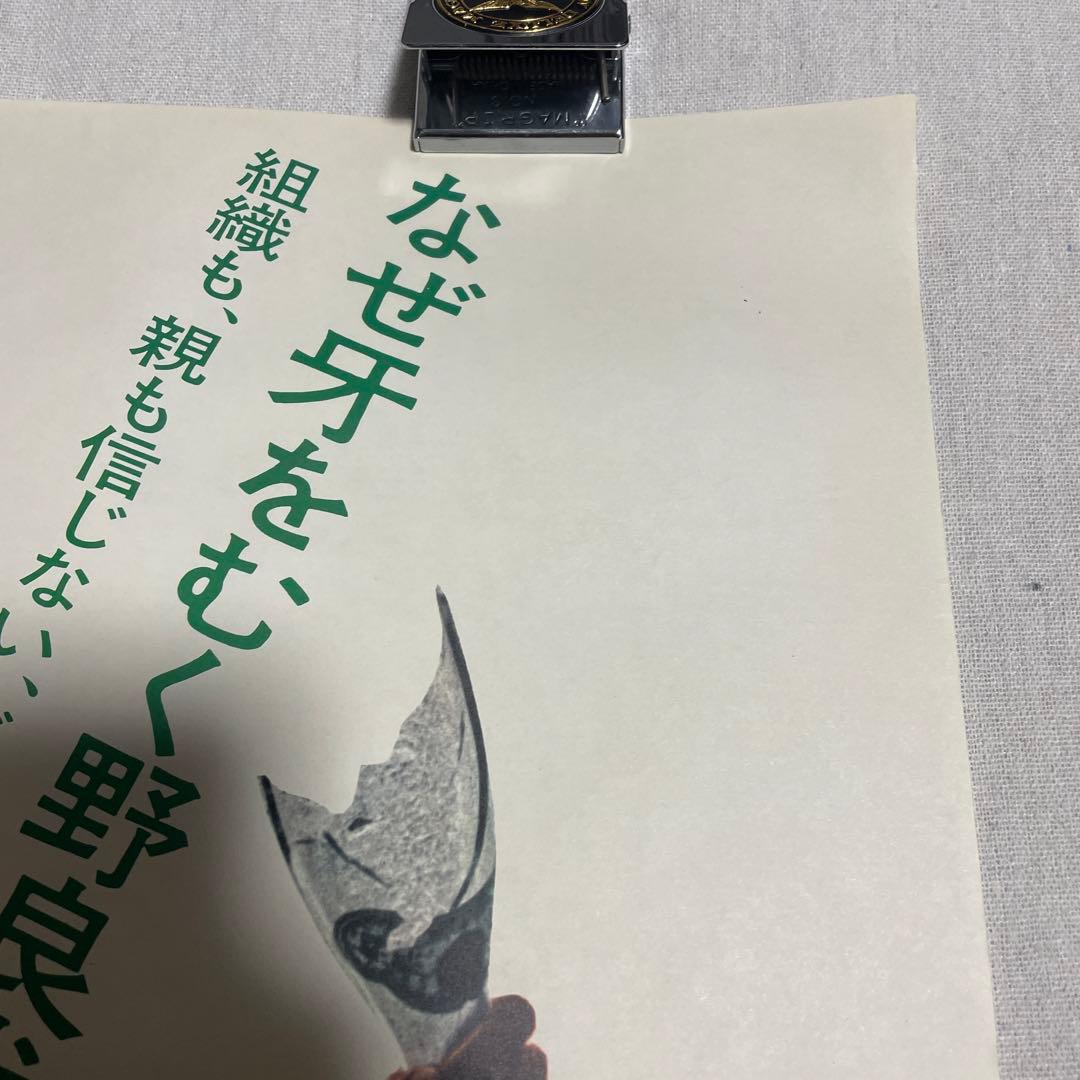 人斬り与太 狂犬三兄弟 映画ポスター 深作欣二 菅原文太 渚まゆみ 田中邦衛