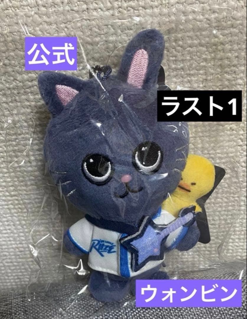 RIIZE PARK RIIZE KEY RING ウォンビン トニャンドク RIIZE PARK