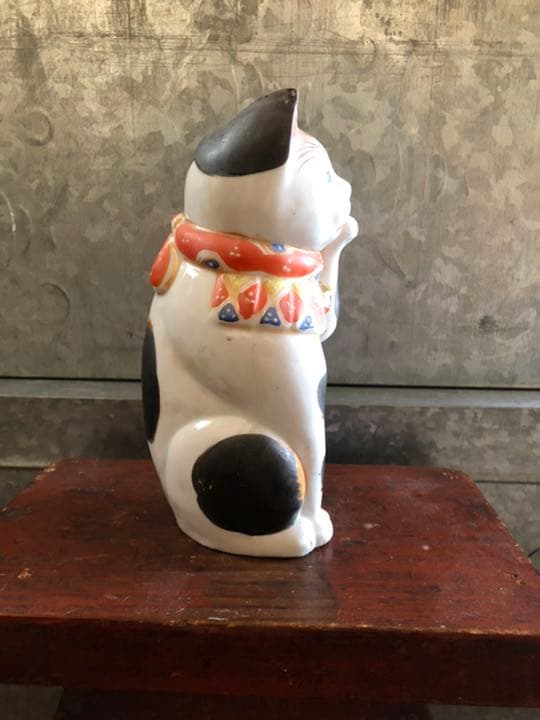 鯨 歯 クジラの歯 くじら 鯨 超 クジラの歯 本物 マッコウ鯨 #観賞用 #鯨歯