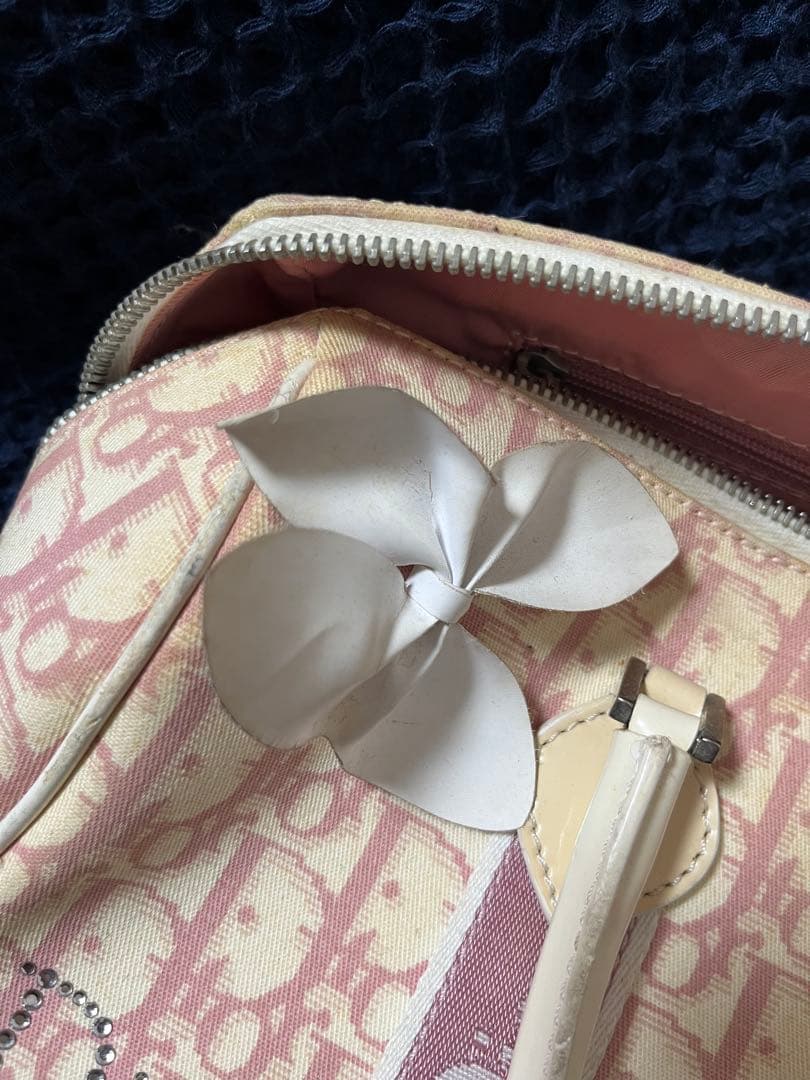 【あにまる】Christian Diorトロッター