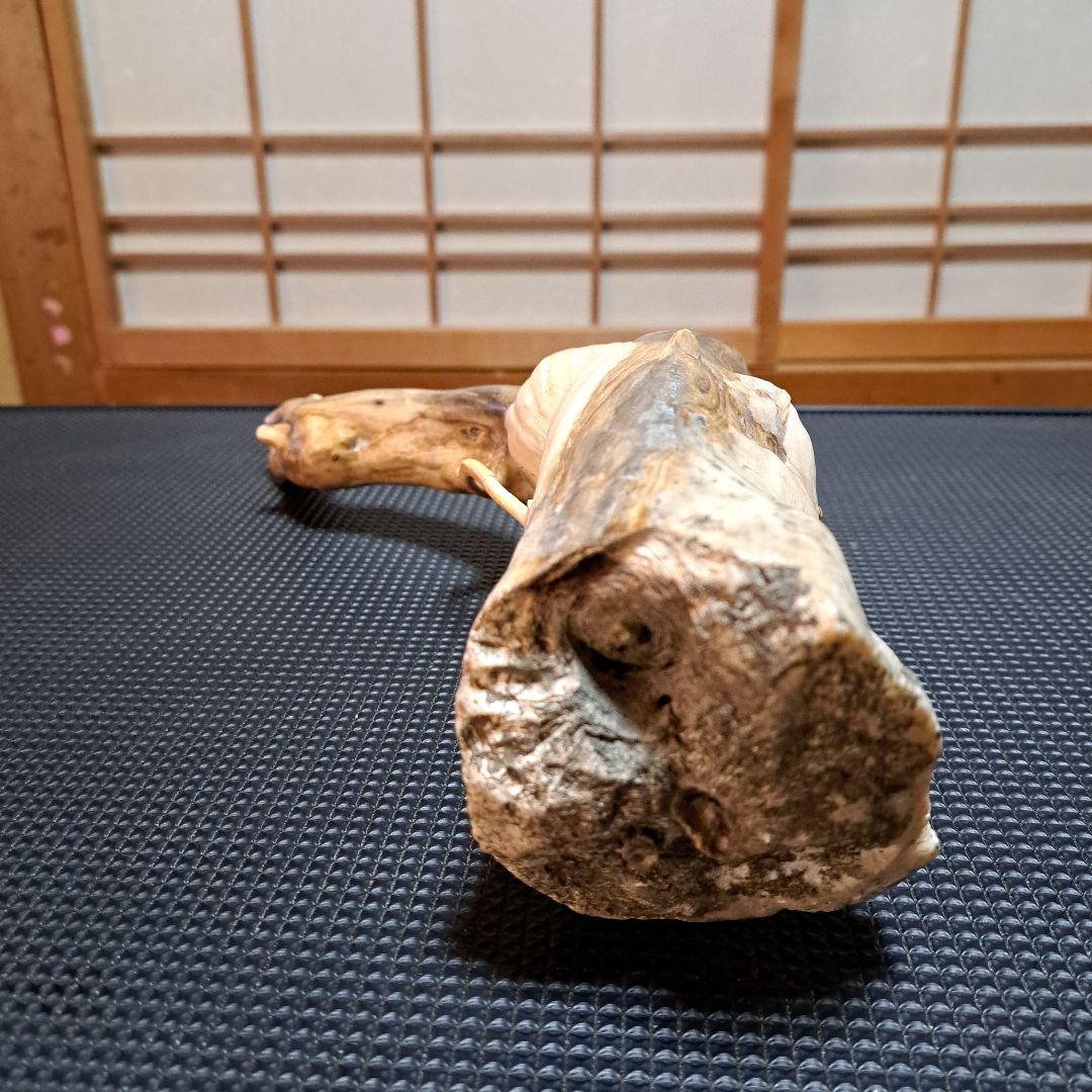 【希少】深海松レインボーコーラル 2.2㎏ 根付け原木(太23cm/細10cm)