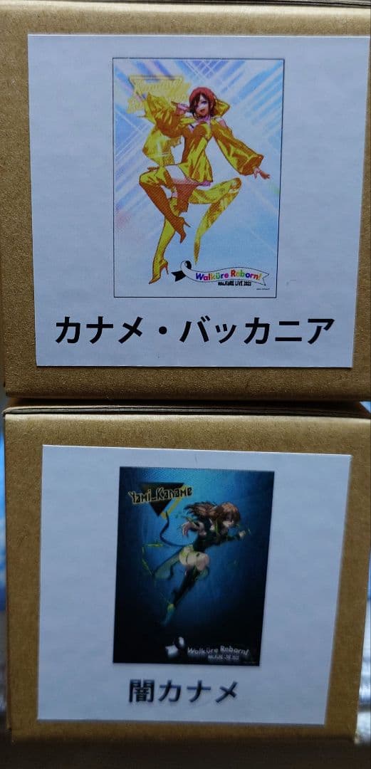 マクロスΔ クリアポスター10本セット(ワルキューレ・闇キューレ)