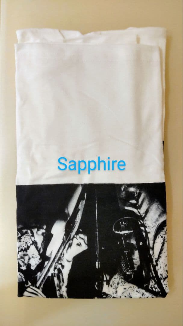 JOY-POPS HARRY&蘭丸 PHOTO-Tee ストリートスライダーズ タレントグッズ