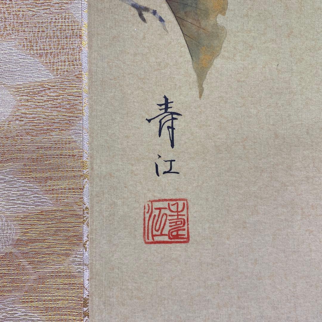 美品 掛け軸 柳沢寿江作 柿図 花鳥 共箱 太巻き 縁起物 - メルカリ