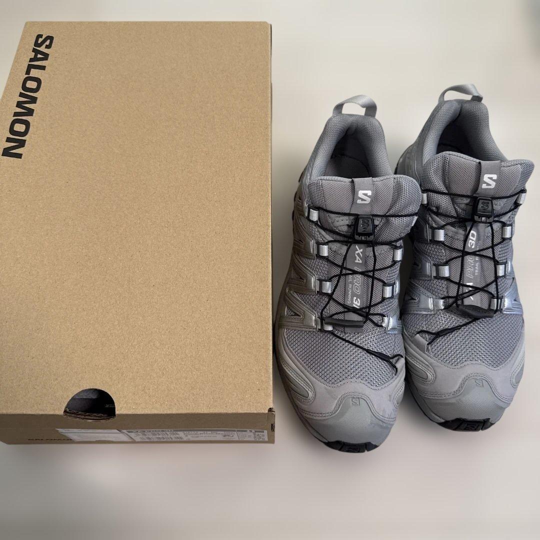 D. Wentworth Porter 水彩画 限定版138/500