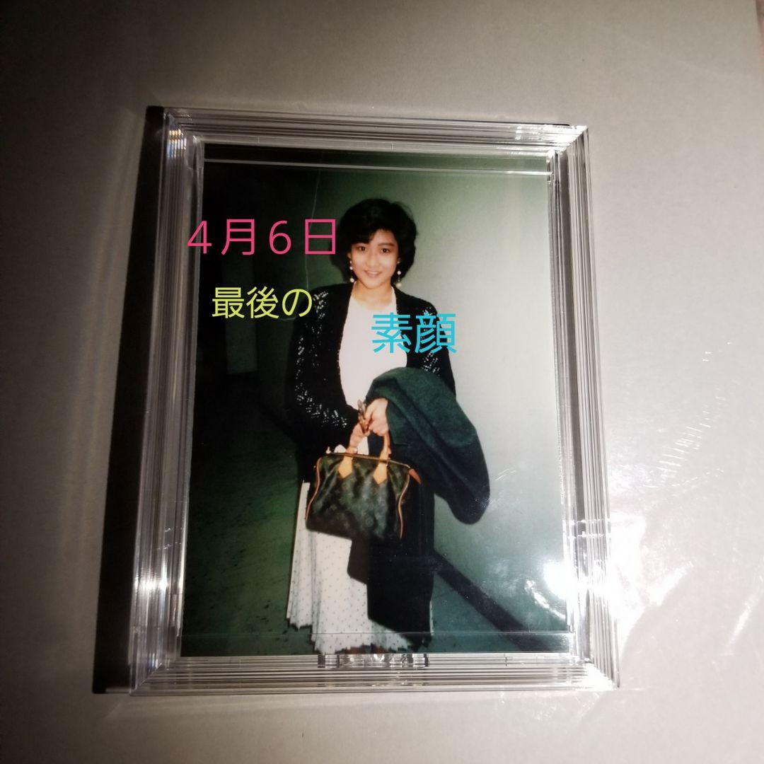 京焼 仁清写 糸巻に梶の葉図 木田義仁 茶碗 茶道具 抹茶碗 21