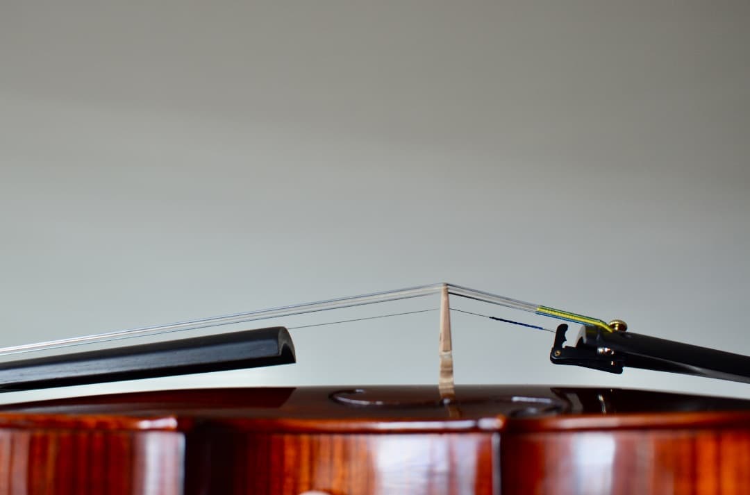 【極上響音】GLIGA Cristian gama1 4/4 きょうこ