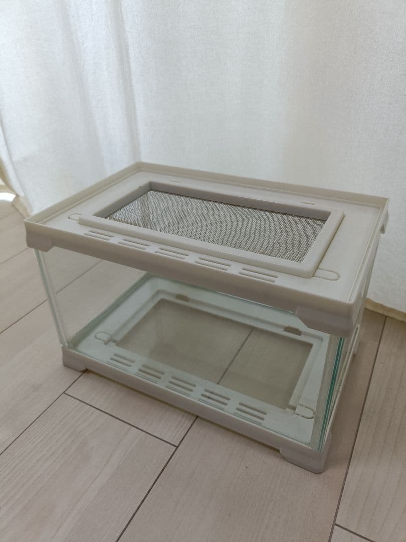 エネル様 ガラスケージ - 温室・飼育ケースオンライン ショップ