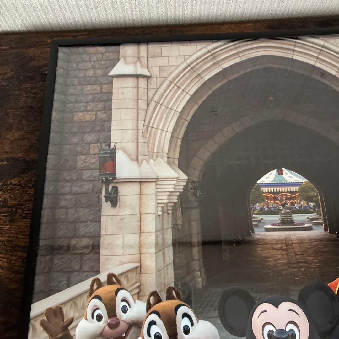 ディズニー イマジニングザマジック 実写 フォトパネル ポスター 額入り