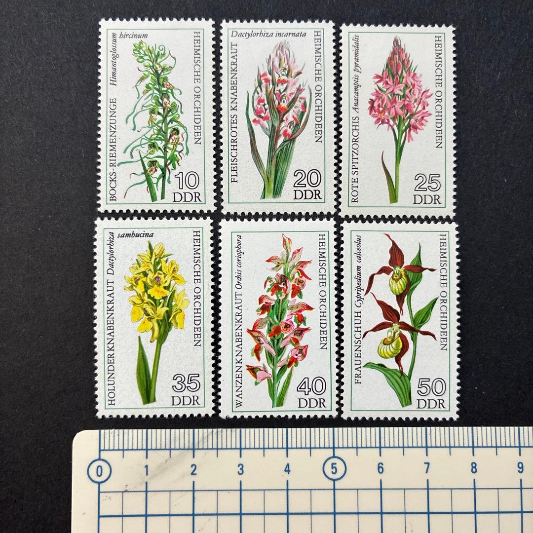 海外切手 未使用 外国切手 東ドイツ 1976年 自生ラン 花6種完 - メルカリ