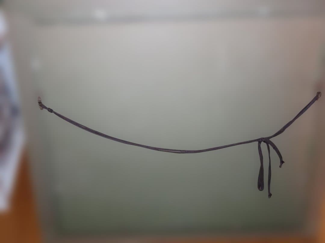 真作 熊谷榧 「パーパルの木の下で」 肉筆油彩　F8号 1987年制作