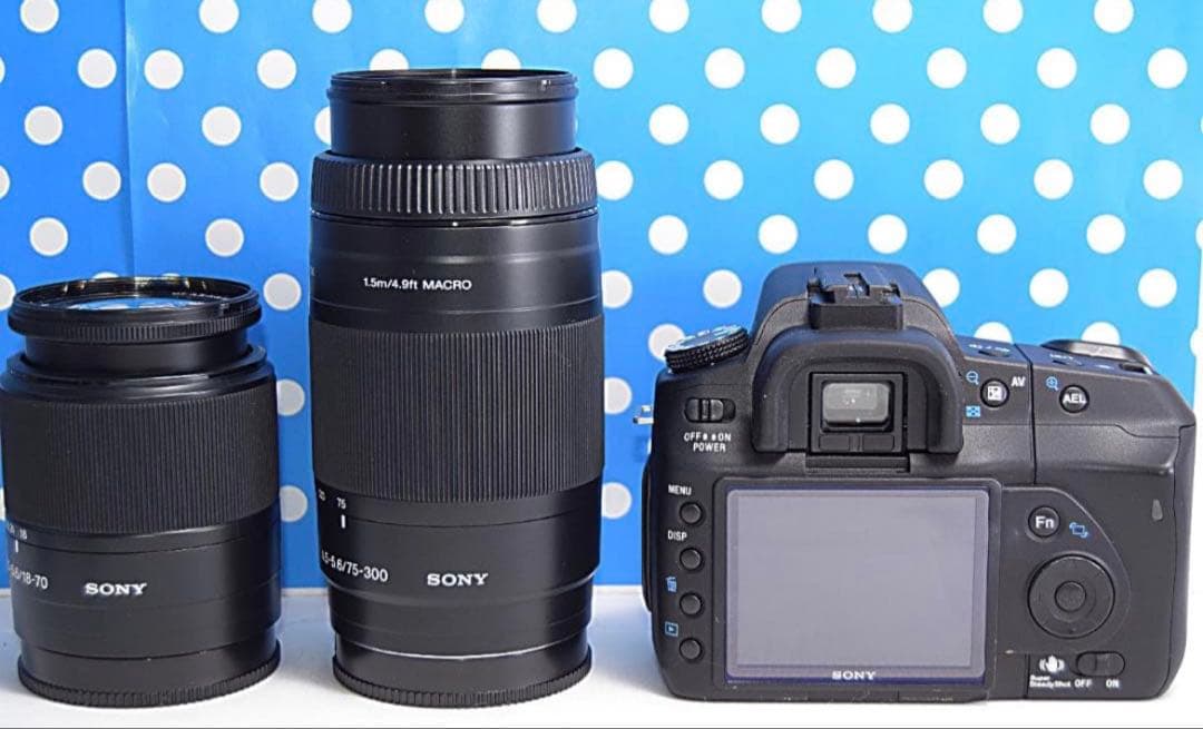 ✨極美品✨❤初心者オススメ❤✨スマホ転送OK✨SONYソニーα200