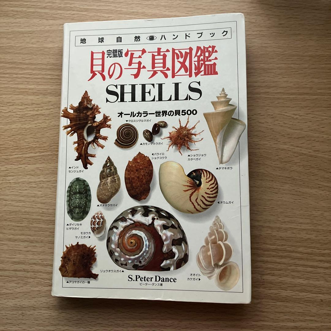 貝の写真図鑑 : オールカラー世界の貝500 完璧版 - メルカリ