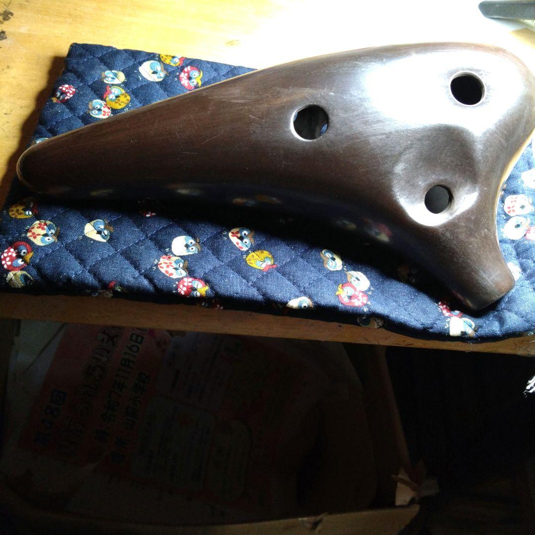 ピエタオカリナバス7C