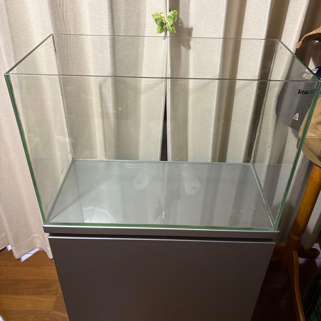 引き取り限定　60センチ水槽セット