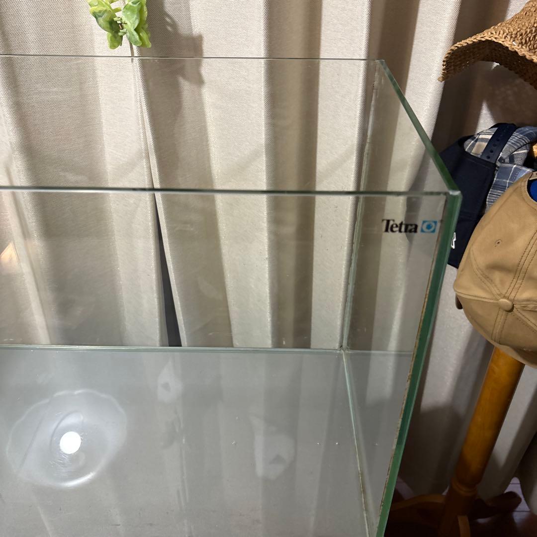 引き取り限定　60センチ水槽セット