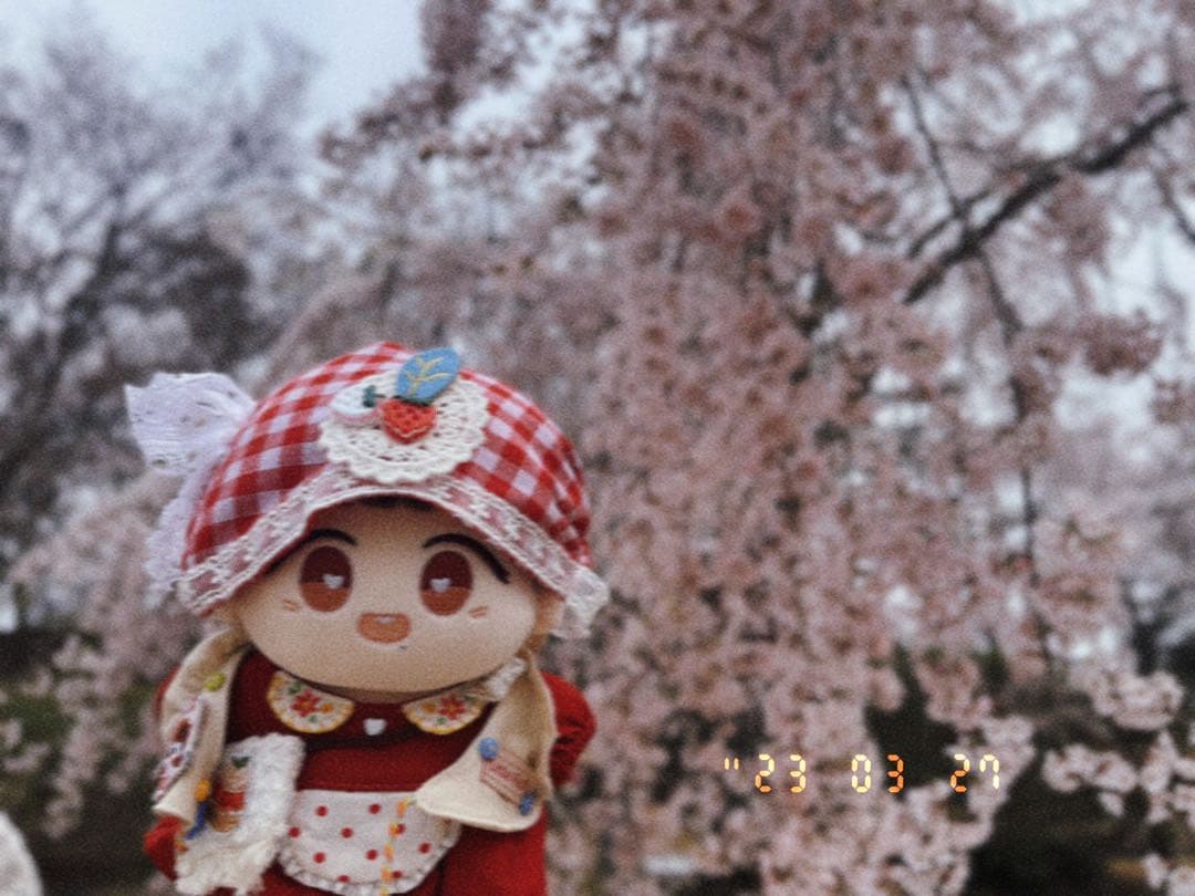 博君一肖ぬいぐるみbjyx