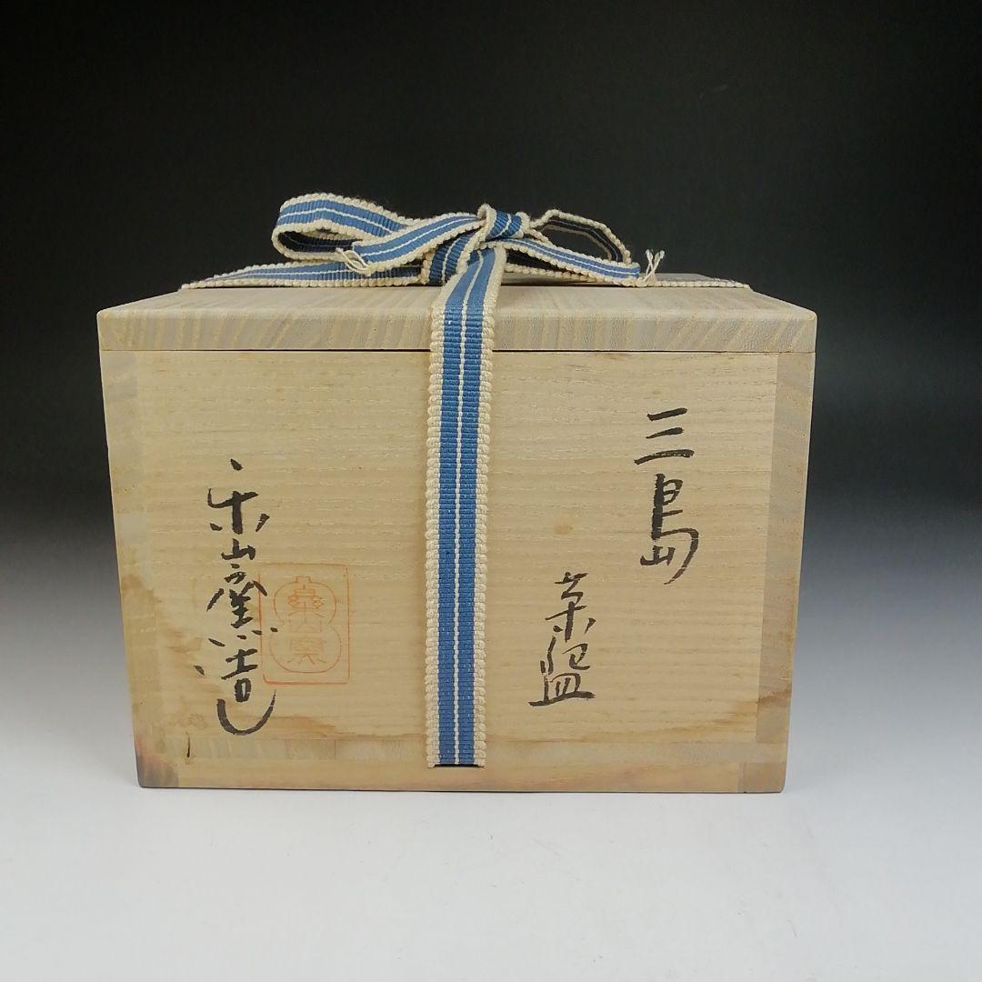 T695 茶碗 『三嶋茶碗』『干支 巳』『楽山窯 造』 共箱 抹茶碗 茶道具
