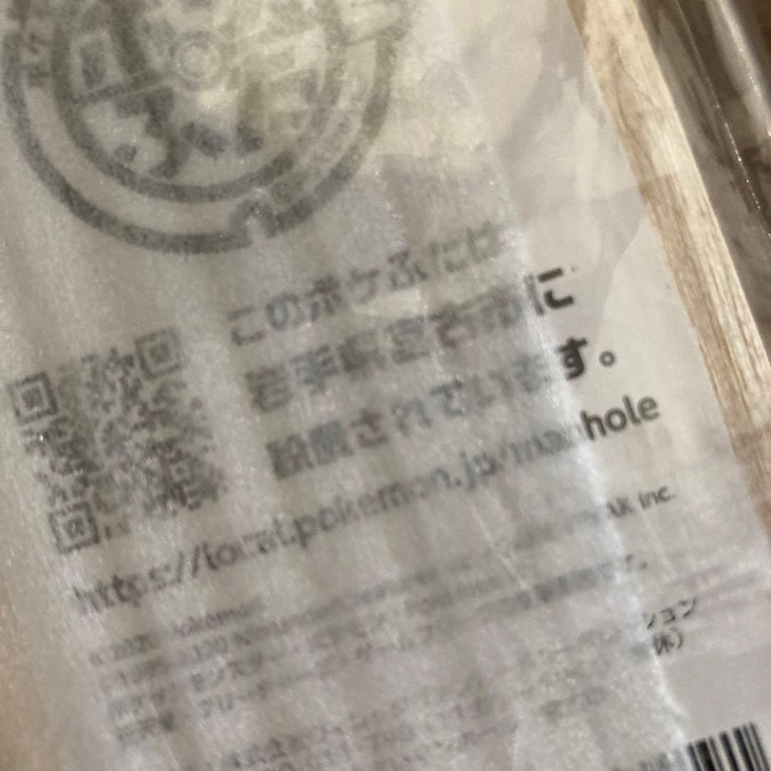 レア・希少】 ポケふた 小さなマンホール イシツブテ 岩手 宮古 - メルカリ