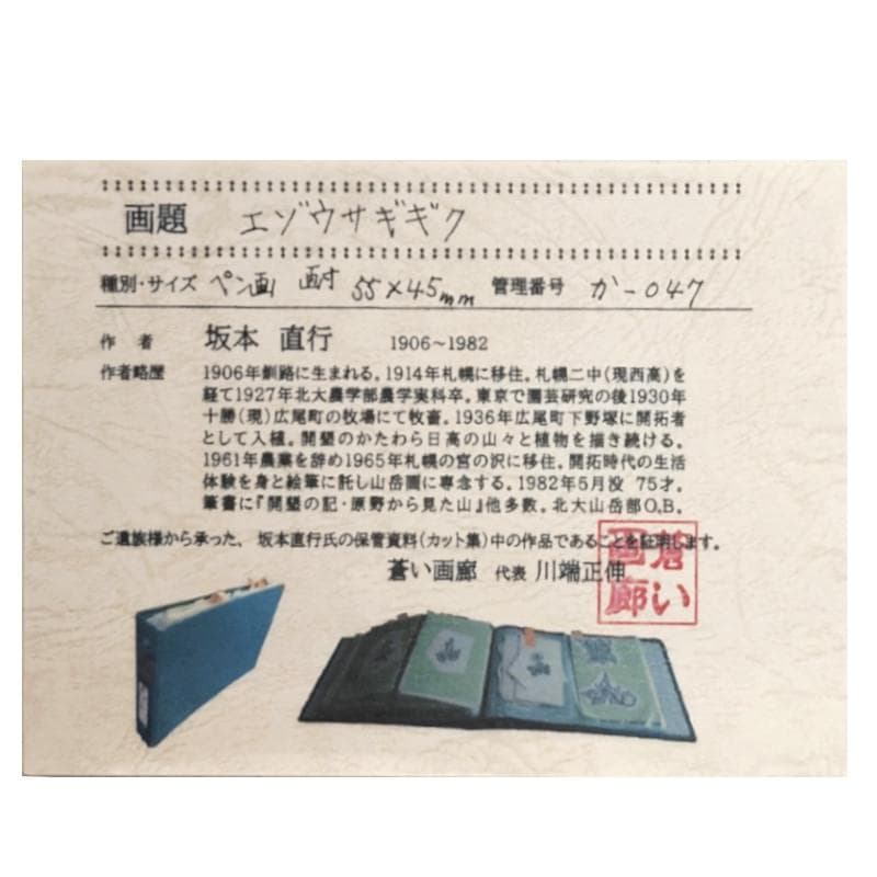 ☆坂本直行☆「エゾウサギギク」肉筆　ペン画　小作品２０角額　未使用！