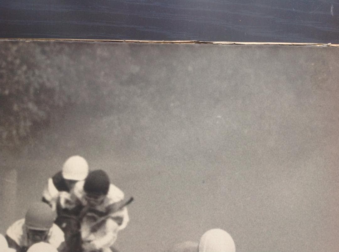 競馬パネル：カブラヤオー「1975年 第42回東京優駿」