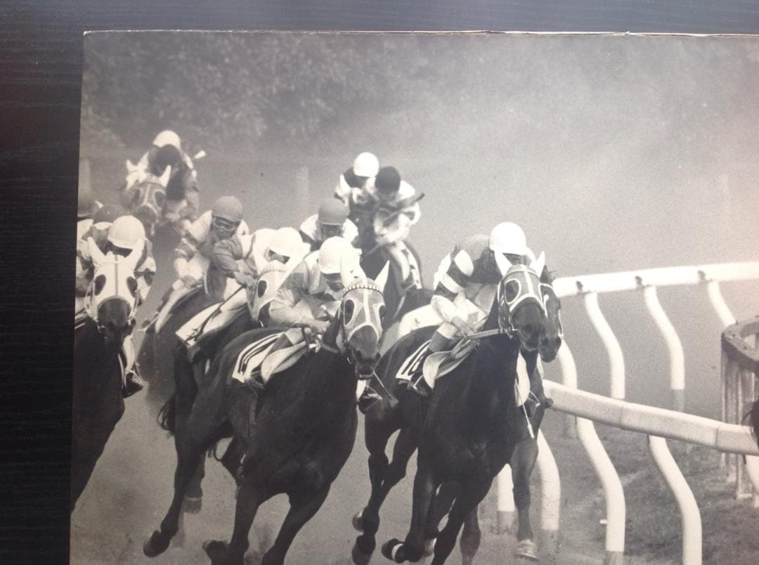 競馬パネル：カブラヤオー「1975年 第42回東京優駿」