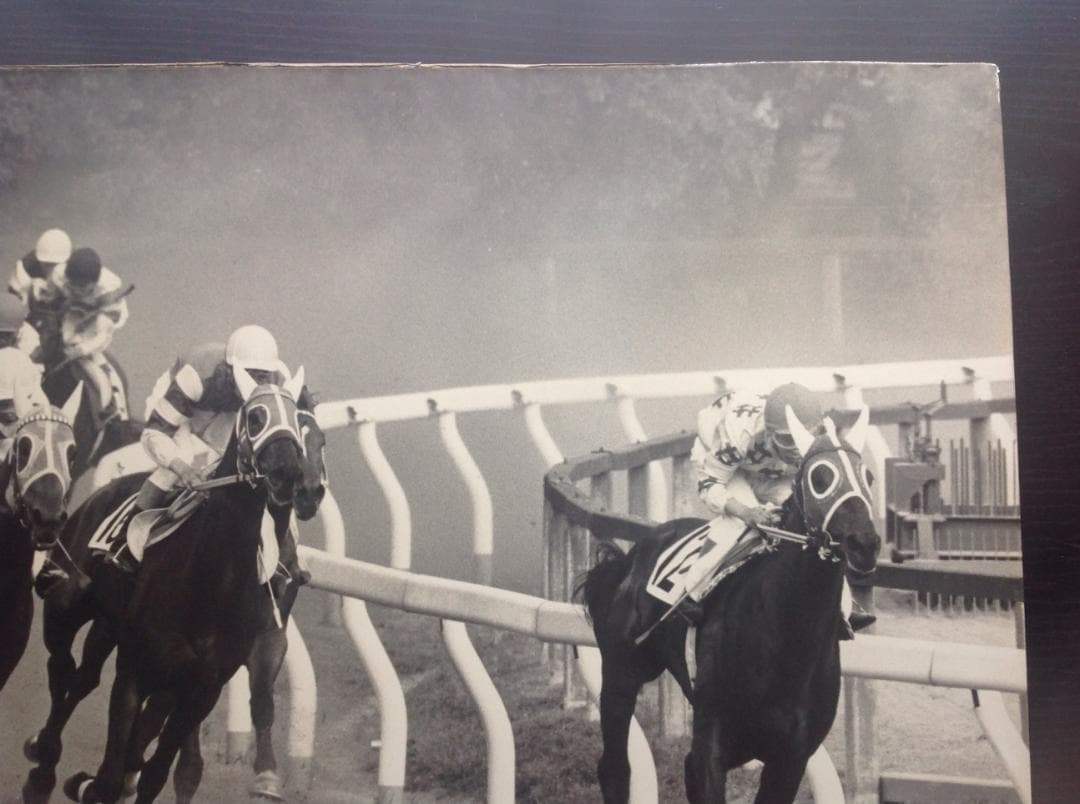 競馬パネル：カブラヤオー「1975年 第42回東京優駿」