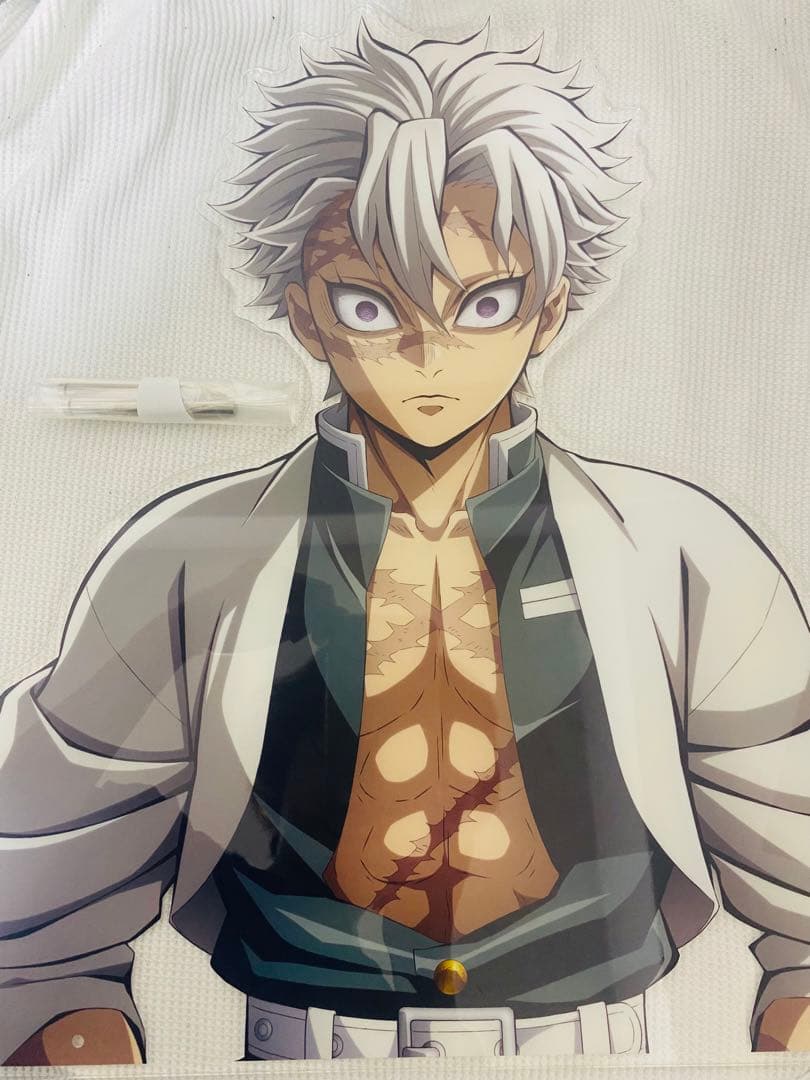 鬼滅の刃 柱稽古 バストアップアクリルパネル 不死川実弥