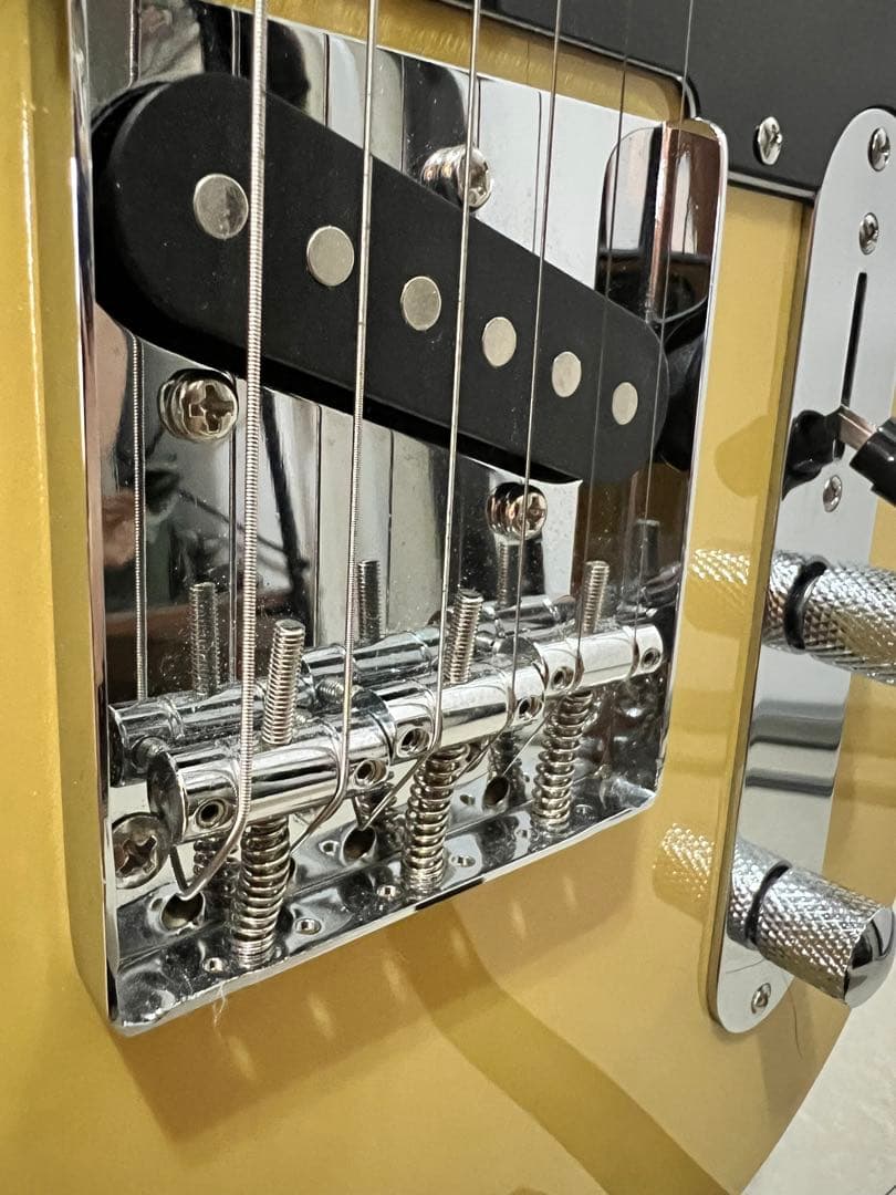 Bacchus BTE-1/M BBD バッカス テレキャスタイプ スタンド付き