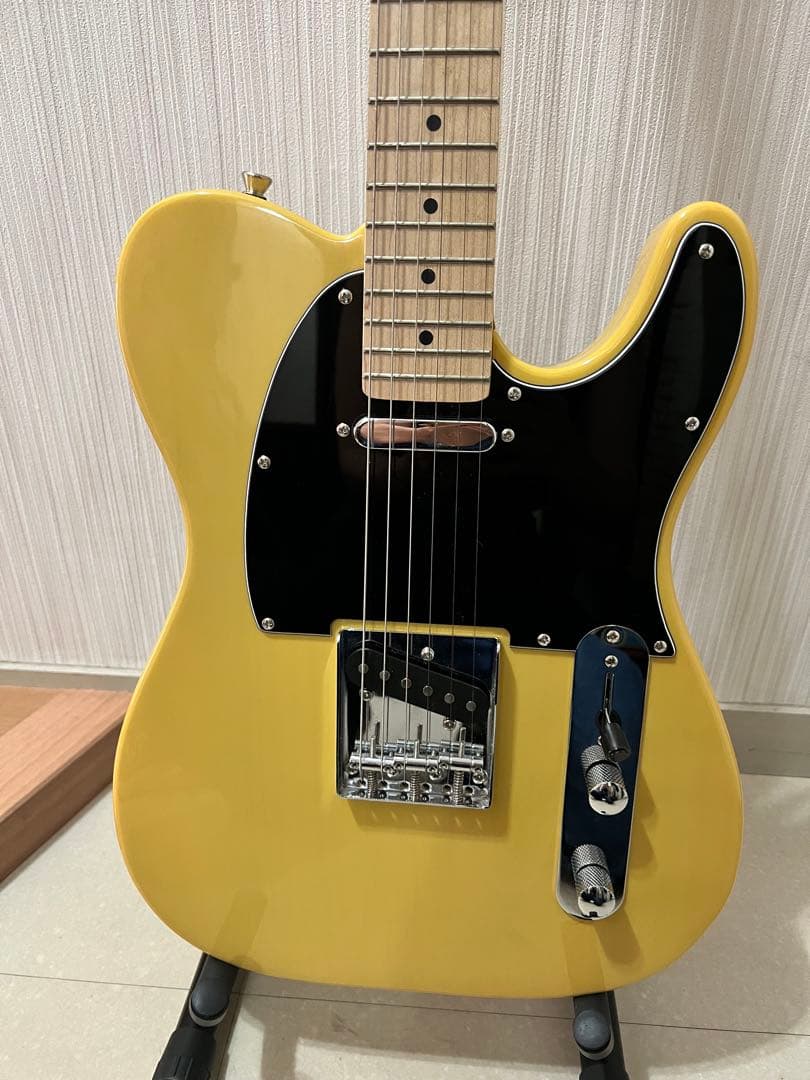 Bacchus BTE-1/M BBD バッカス テレキャスタイプ スタンド付き