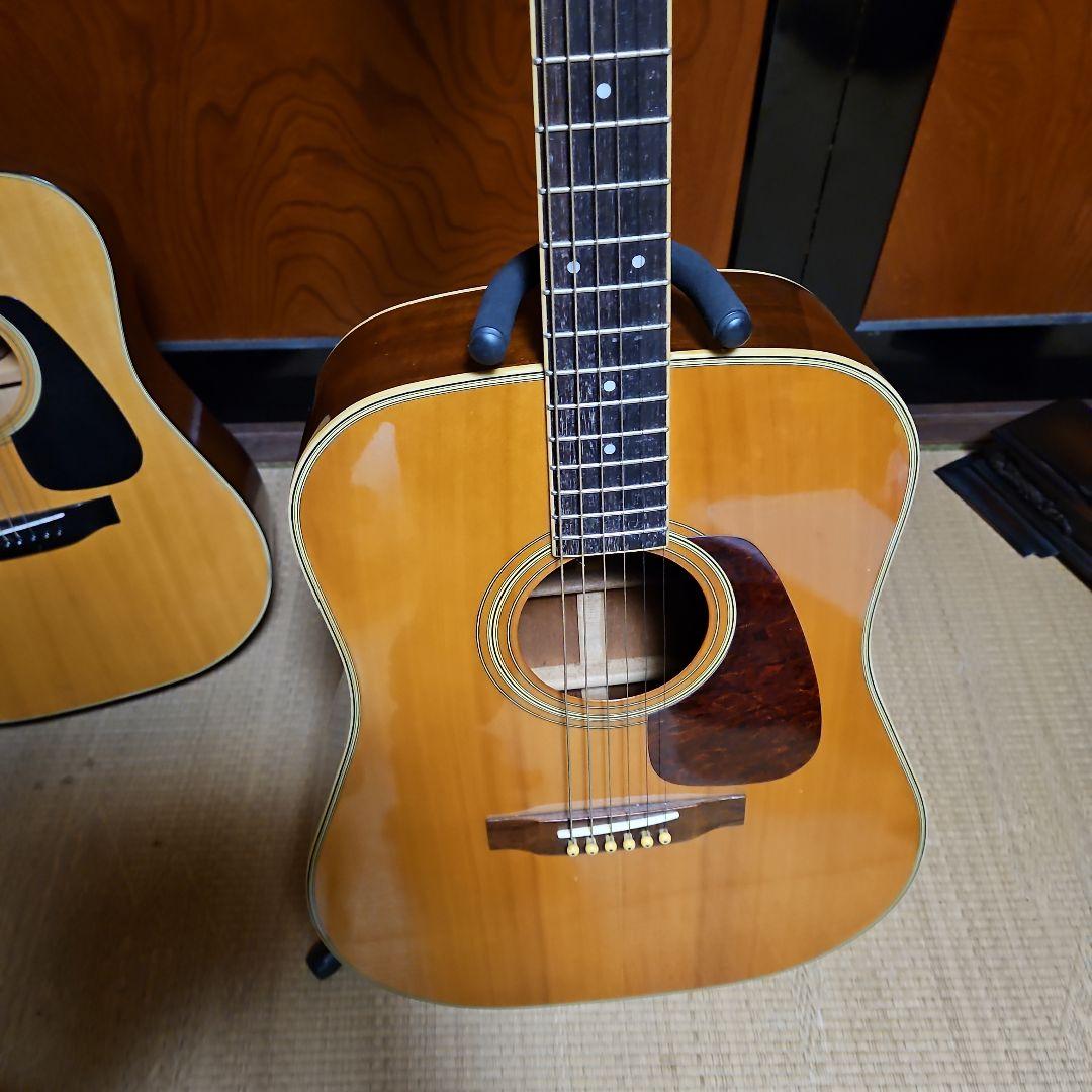 Morris アコースティックギター MD506 VQL3312799137