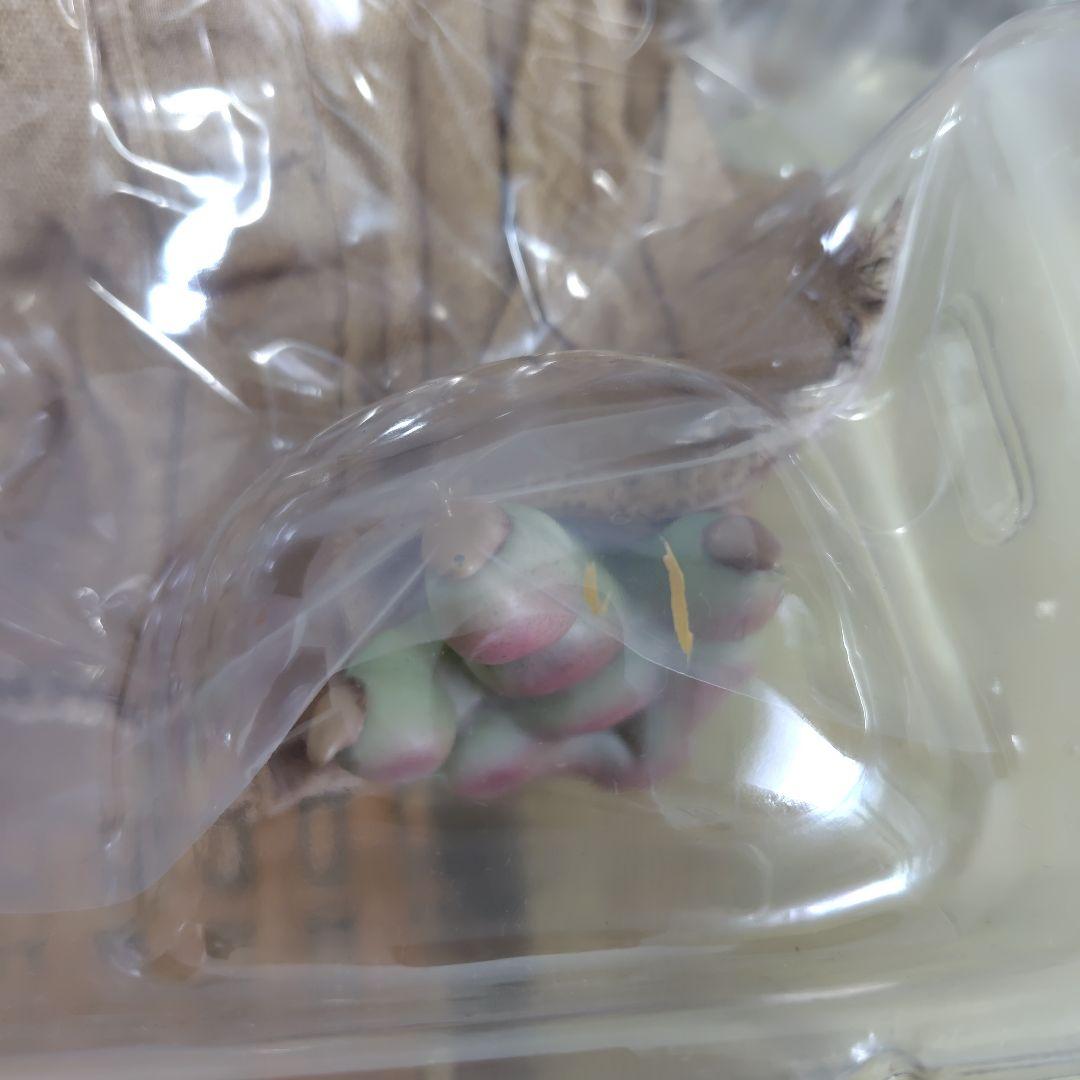 ザ・チャイルド グローグー 1/1 マンダロリアン ホットトイズ リアルサイズ