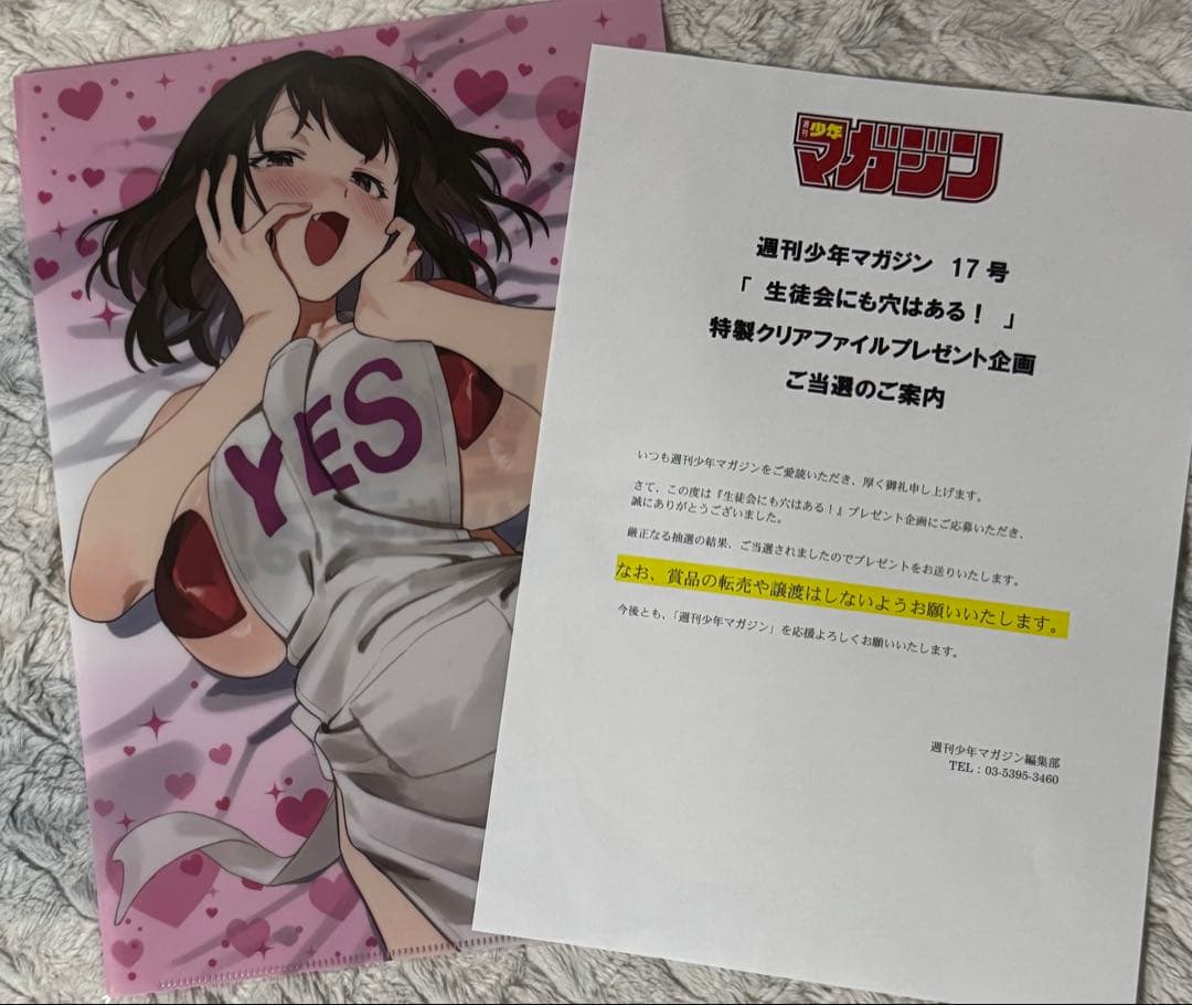 当選 クリアファイル　5つセット ゴムバンド付クリアファイル5ポケット（リトルミイ）S2173352 - MOOMIN