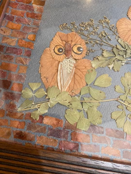 ふくろう　フクロウ　梟　押花　押し花　切り絵　アップリケ