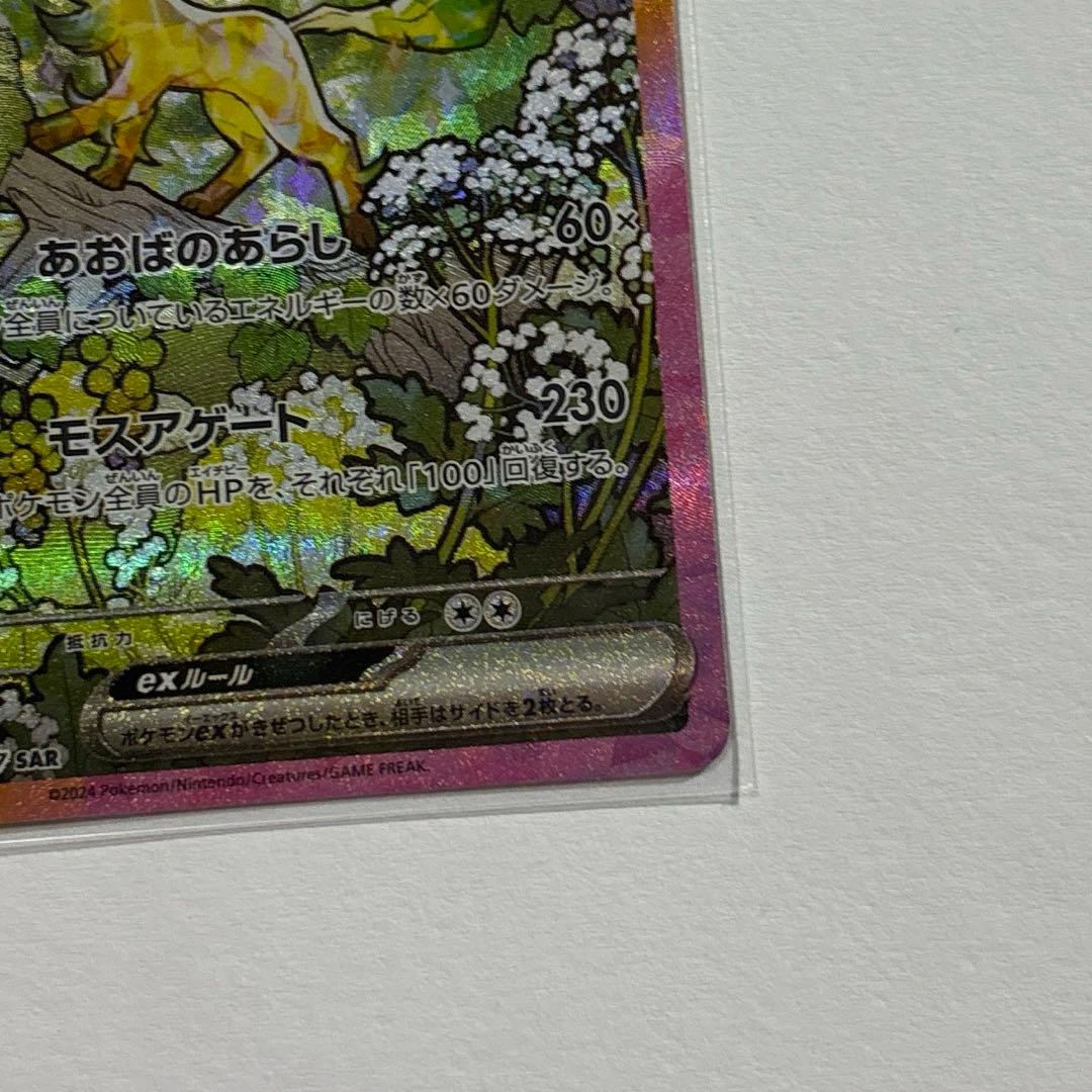 テラスタルフェスex ブイズ まとめ売り