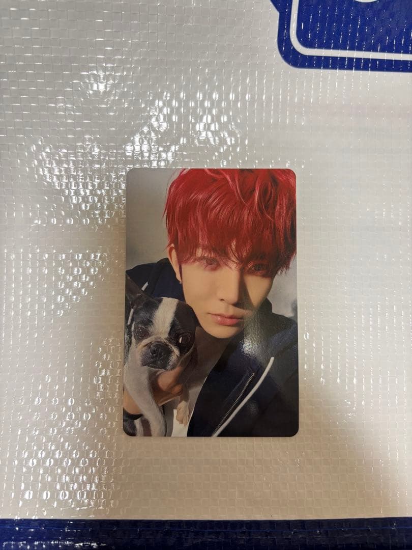 ENHYPEN ヒスン アンケートトレカ - メルカリ