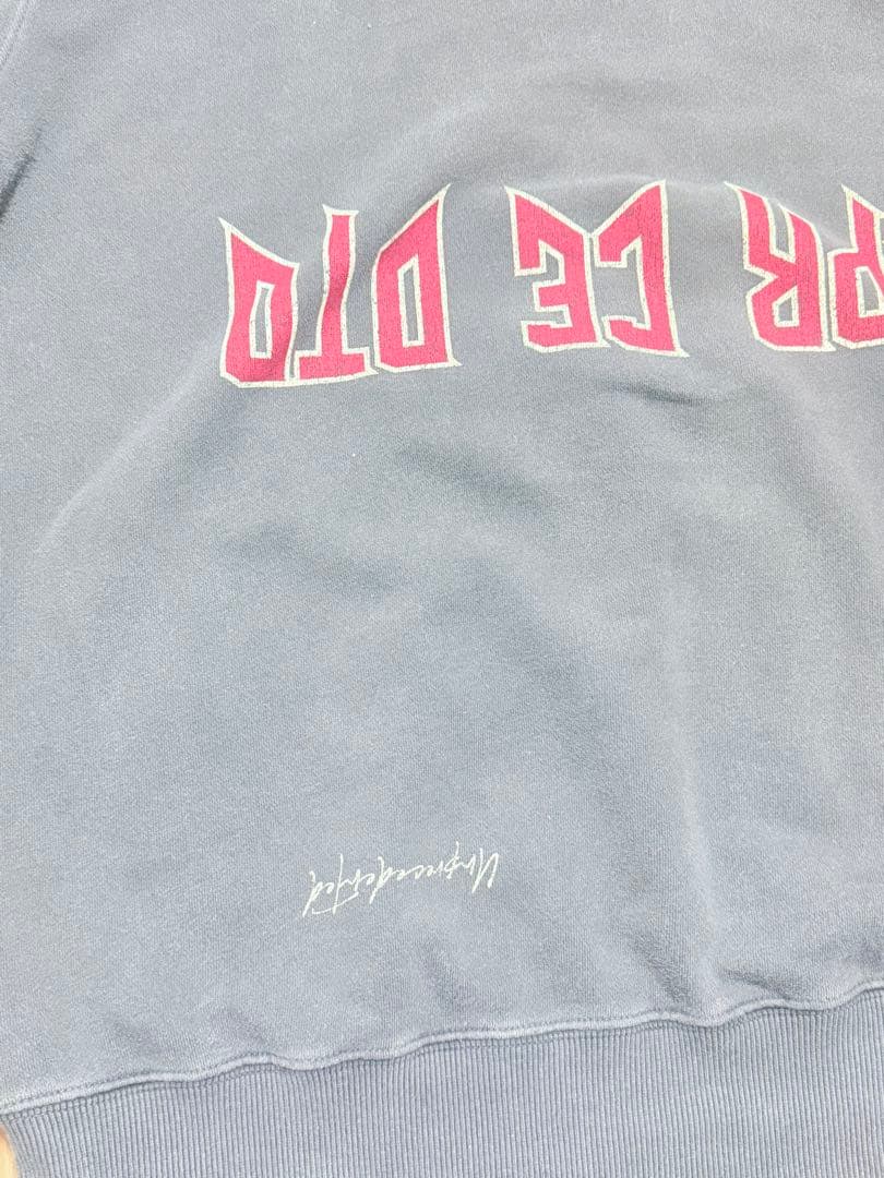 UPD’T UNPR CE DTD ロゴ　パーカー updt 武尊