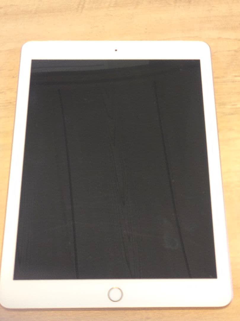 鉛筆画 男女の親密な関係 ピカソ リトグラフ