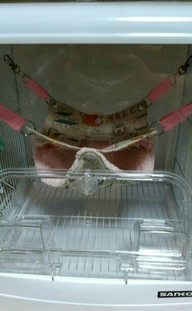 モモンガハウス(カフェ柄・綿麻) ボアピンク   大きいサイズ(家族用) モモンガハウス(カフェ柄・綿麻) ボアピンク 大きいサイズ(家族用)