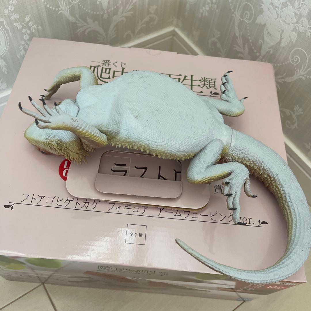 1番くじ 爬虫類＆両生類 ラストワン賞 - メルカリ