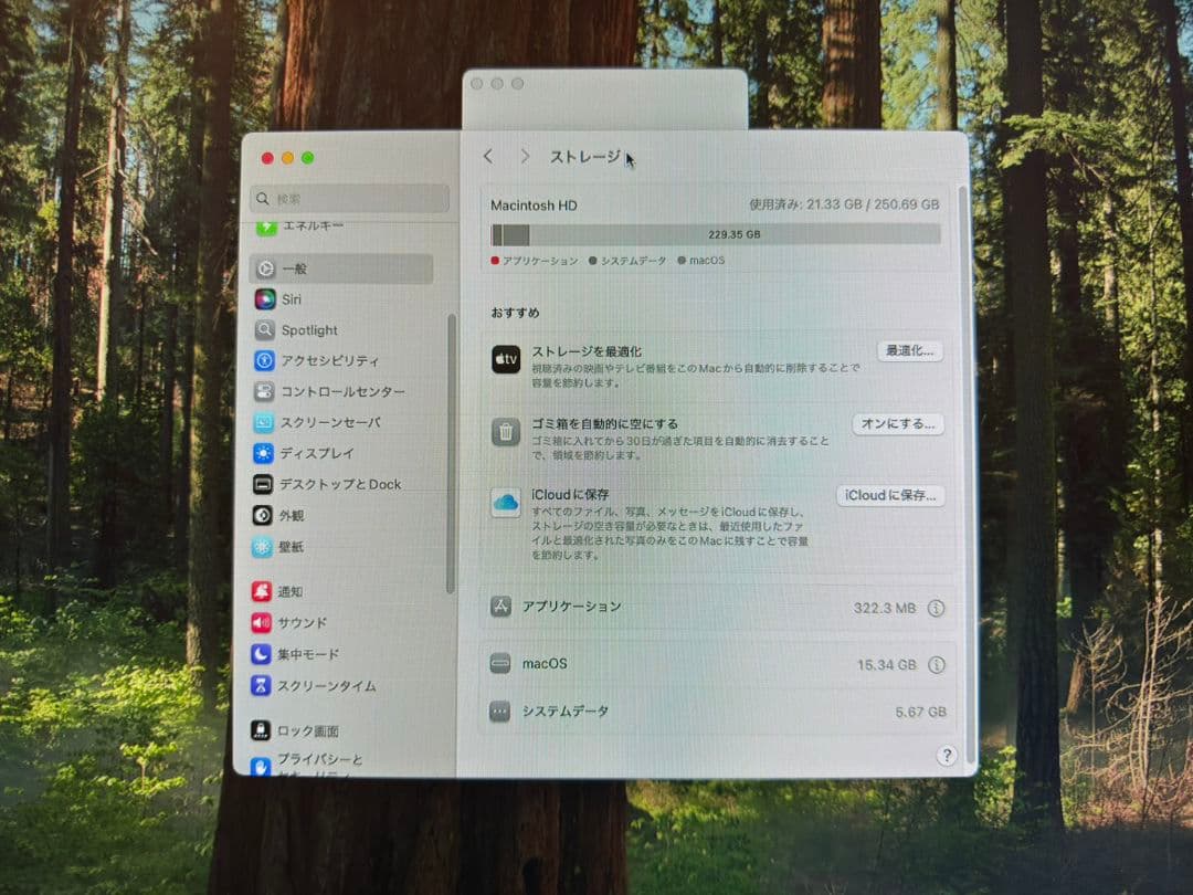 Macデスクトップ Mac mini 2018 i7 3.2GHz 32GB SSD256GB